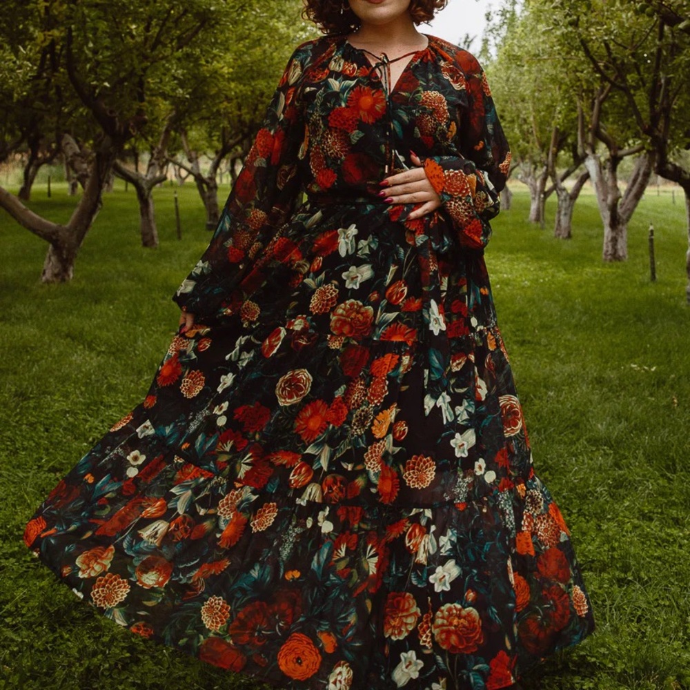 EUC M Ivy City Co Imogen dress in Moody Floral